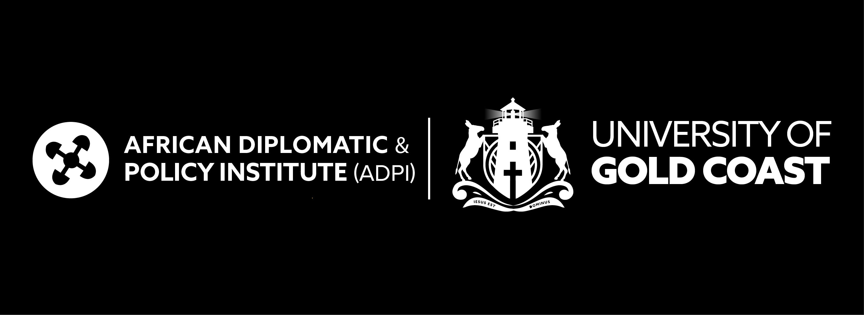 The African Diplomatic And Policy Insitute  (ADPI)